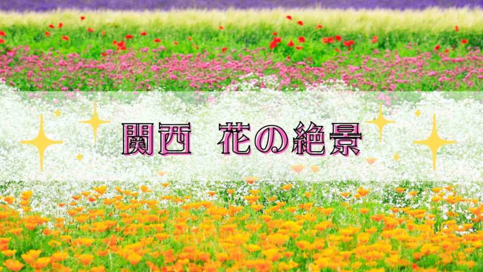 関西花の絶景