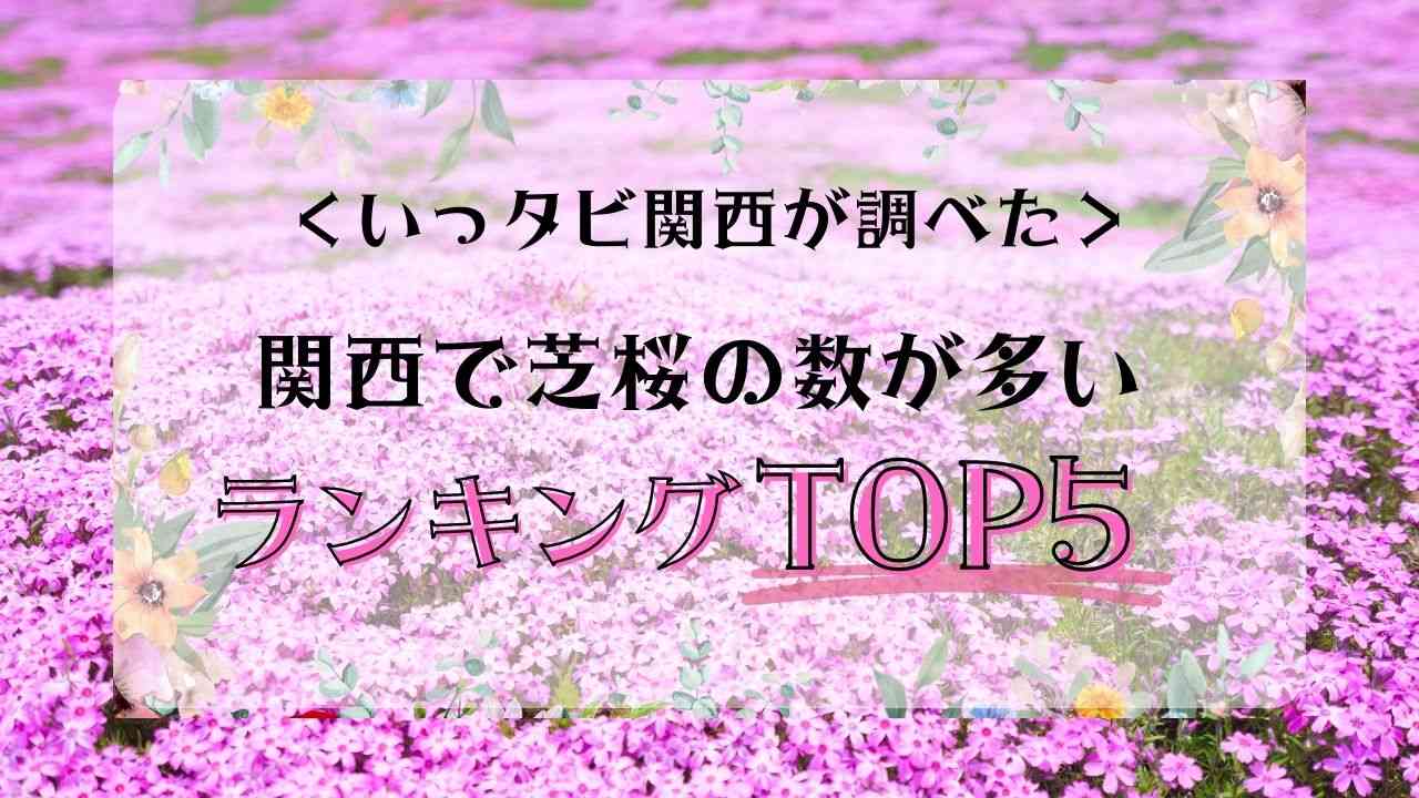 関西で芝桜の数が多いランキングTOP5