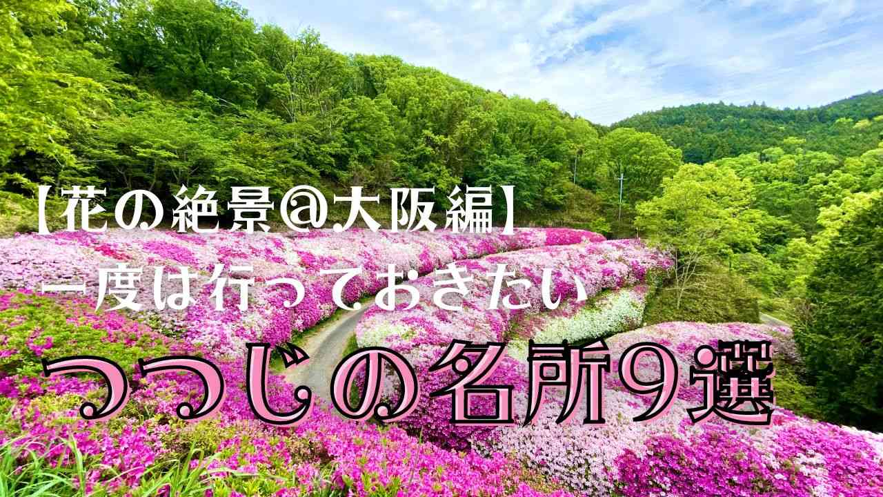 【2023年度】大阪で行っておきたいつつじの名所9選！開花・見頃情報も！