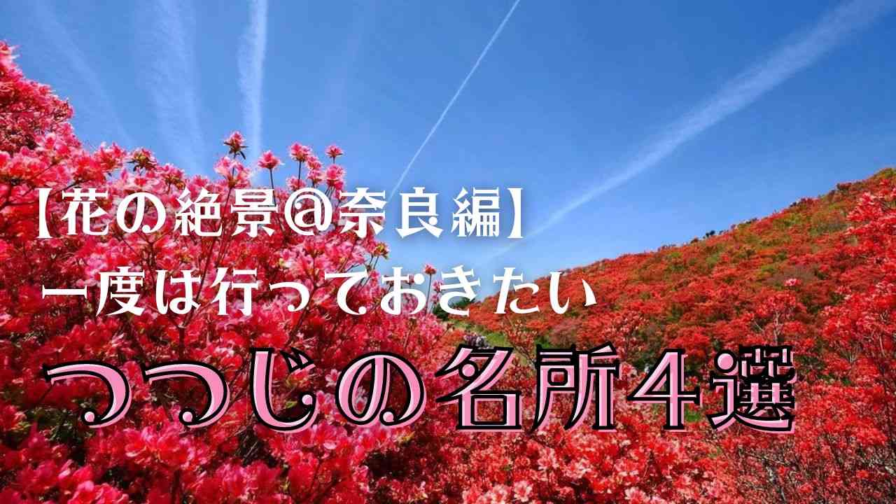 【2023年度】奈良で行っておきたいつつじの名所4選！開花・見頃情報も！