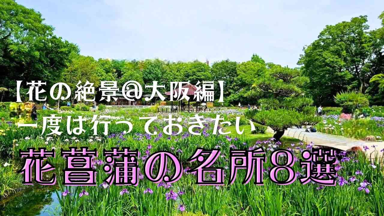 【2023年度】大阪で行っておきたい花菖蒲の名所8選！開花・見頃情報も！