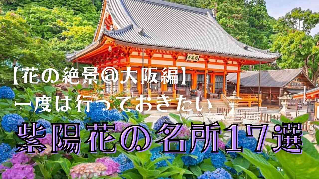 【2023年度】大阪で行っておきたいあじさいの名所17選！開花・見頃情報も！