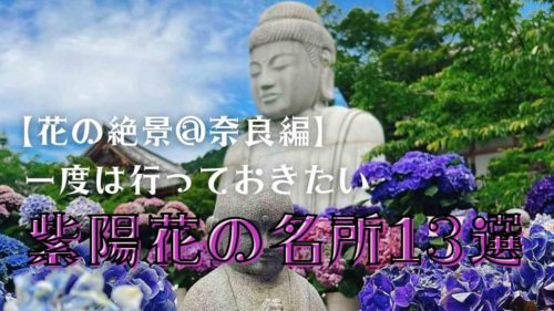 【2023年度】奈良で行っておきたいあじさいの名所13選！開花・見頃情報も！