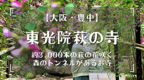 萩の花トンネルがSNS映えする大阪・豊中の東光院 萩の寺へ｜アクセスや駐車場も