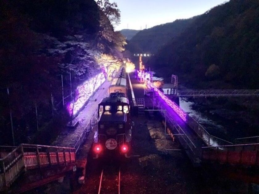 嵯峨野トロッコ列車 光の幻想列車【京都・京都市】